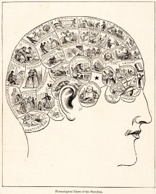 phrenologypix